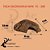 Kit Corn Snake Baby Milk King Toca Bebedouro Artexotics - Imagem 3