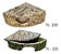 Kit Leopard Gecko toca comedor canto musgo Artexotics - Imagem 1