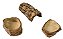 Kit Hamster Topolino Gerbil Esquilo da mongolia Artexotics - Imagem 1
