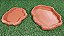 Kit 007 Comedouro Bebedouro  Artexotics - Imagem 9
