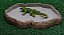 Comedouro Extra Grande Para Repteis Cm 007 Artexotics - Imagem 6