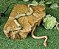 Toca Aquecida Canto Reptil Corn Jiboia Teiu Cobra TCA 512 Artexotics - Imagem 6