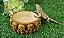Comedouro Bebedouro Caveira Redondo Cm 017 Artexotics - Imagem 5
