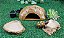 Kit Jabuti Filhote Com Aquecimento  Kit 030 -  Artexotics - Imagem 5