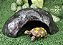 Toca Grande P/ Jabuti Filhote Ou Hedgehog  Tc 213 - Imagem 5