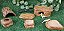Kit Gecko Leopard Toca Comedor Pedra Aquecimento kit 027 Artexotics - Imagem 3