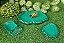 Kit Comedouro Bebedouro Piscina Jabuti Kit 024 Artexotics - Imagem 5