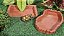 Kit Jabuti Comedouro Bebedouro Kit 029 Artexotics - Imagem 9