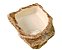 Bebedouro Pequeno Para Repteis Bb 101 Artexotics - Imagem 10