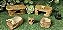 Kit Gecko Leopard Gecko C/ aquecimento Kit 017  Artexotics - Imagem 3