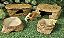 Kit Gecko Leopard Gecko C/ aquecimento Kit 017  Artexotics - Imagem 5
