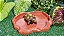 Comedouro Grande Para Repteis Cm 004 Artexotics - Imagem 10