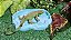 Comedouro Grande Para Repteis Cm 004 Artexotics - Imagem 13