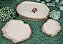 Kit 034 Bebedor Comedor Piscina Jabuti Adulto Artexotics - Imagem 6