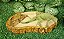Comedor Bebedouro Jabuti Tartaruga Reptil Cm 024 Artexotics - Imagem 2