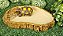 Comedor Bebedouro Jabuti Tartaruga Reptil Cm 024 Artexotics - Imagem 4