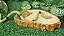 Comedor Bebedouro Jabuti Tartaruga Reptil Cm 024 Artexotics - Imagem 5