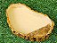 Comedor Bebedouro Jabuti Tartaruga Reptil Cm 024 Artexotics - Imagem 7