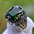 Anel Masculino Pedra Verde Fusion Luxury - Imagem 7