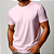 01 UNIDADE CAMISETA 100% ALGODÃO CLÁSSICA - Imagem 9