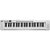 Kit Teclado Musical 61 Teclas Estudante Iniciante Rhythmic 50WH + Capa e Suporte em X - Imagem 4
