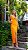 VESTIDO LINHO LARANJA SAVAGE - Imagem 1
