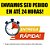 Camiseta rbd - Imagem 6