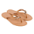 Chinelo Feminino Grendha Rasteira Ideal - Imagem 1