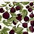 Tricoline Estampado Frutas Figos e Folhas, Unid 50cm x 1,50m - Imagem 1
