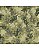 Tricoline Camuflado Dinos (Verde Militar), 100% Algodão 50cm x 1,50mt - Imagem 1