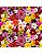 Tricoline Digital Floral Melissa 100% Algodão 50cm x 1,50mt - Imagem 1