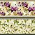 Tricoline Digital Barrado Orquídeas, 100%Algod. 50cm x 1,50m - Imagem 5