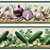 Tricoline Digital Barrado Legumes 02, At. 5m x 1,50mt - Imagem 4