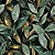 Tricoline Digital Folhas Lush Verde, 100%Alg, 50cm x 1,50mt - Imagem 1