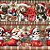 Tricoline Digital Barrado Natal Cachorrinhos At. 5mt x 1,50m - Imagem 5