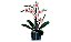 Lego Creator - Orquídea 10311 - Imagem 4