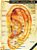 Mapa Auricular Chinesa Plastificado - Profº Wagner Fonseca - Imagem 1