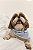Pijama Feminino Manga Curta Cachorros Salsichas Cor Com Amor - Imagem 3