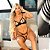 CONJUNTO SEXY SEM BOJO COM ARO, EM TULE COM RENDA ACOMPANHA PERSEX REF:10774 - Imagem 3