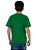 Camiseta Juvenil Brasil MC Medalha Verde - Imagem 4