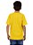 Camiseta Juvenil Brasil MC Medalha Amarela - Imagem 4