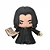 Fandom Box - Harry Potter - Severus Snape - Imagem 2