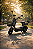 SCOOTER PANDA J10 - CINZA - 800W - Imagem 1
