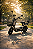 SCOOTER PANDA J10 - CASTANHO - 800W - Imagem 1