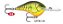 Isca Rapala Dives To DT-06 - Imagem 2