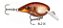 Isca Rapala Dives To DT-06 - Imagem 10