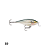Isca Artificial Rapala Shallow Shad Rap - Imagem 14