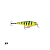 Isca Artificial Rapala Shallow Shad Rap - Imagem 3