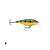 Isca Artificial Rapala Shallow Shad Rap - Imagem 6