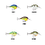 Isca artificial rapala dt series 06 - 25 cores - Imagem 3